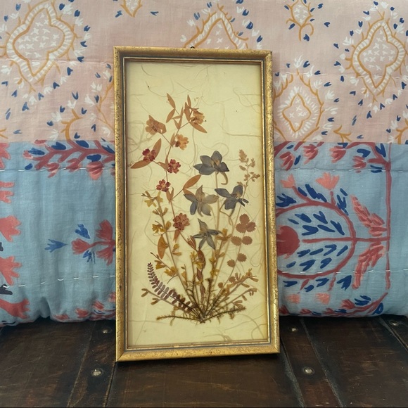 Framed Pressed Flowers - Picture 1 of 2